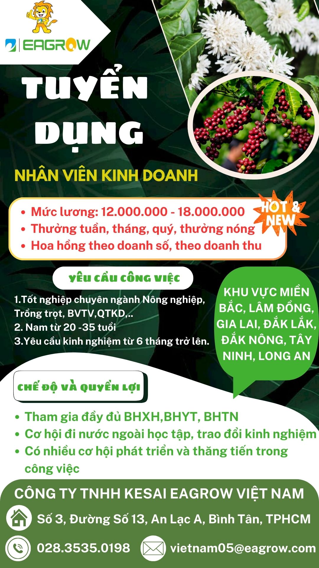 lĩnh vực hoạt động